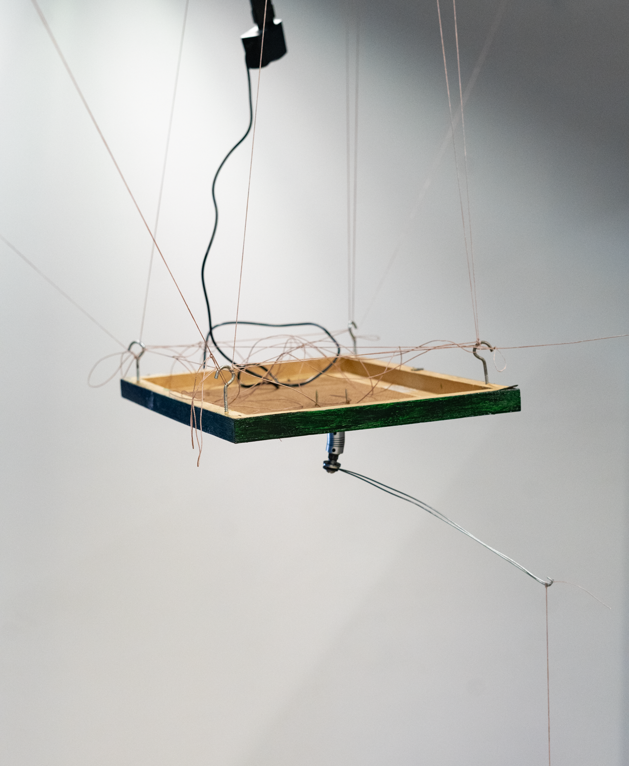 Artigo Duzendos e cinco.